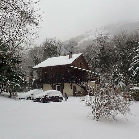 Le Grand Saule Apartment Aston Exterior foto